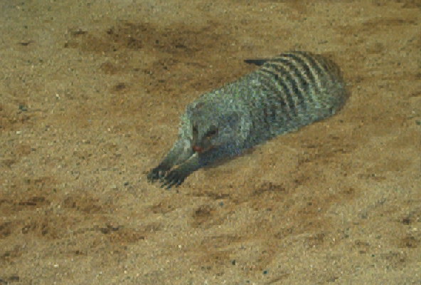 IM002078.JPG